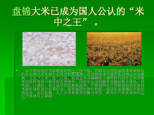 我的家乡——盘锦共16页