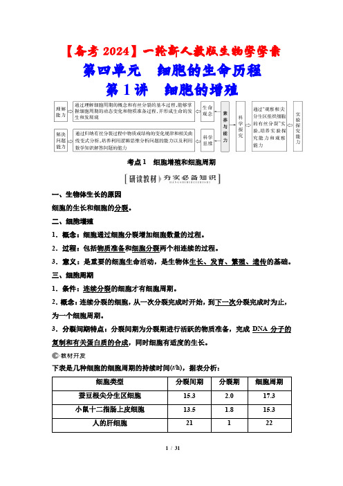 一轮新人教版生物学学案：必修1 第4单元 第1讲 细胞的增殖