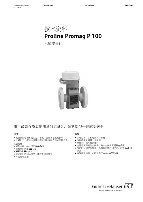 Proline Promag P 100 电磁流量计说明书