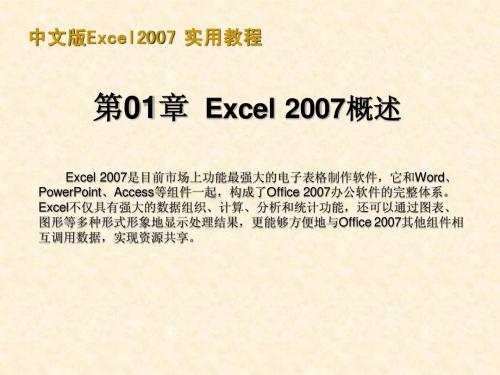 Excel2007完美实战教程