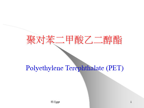 《涤纶树脂的生产》PPT课件