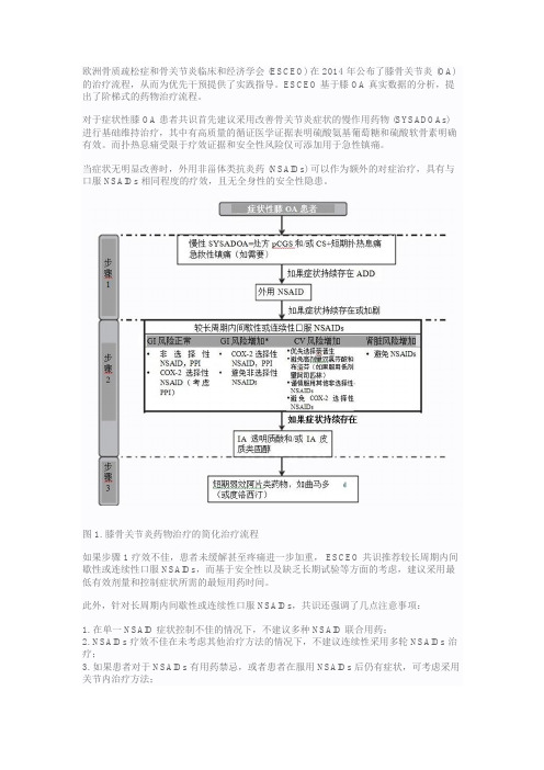 ESCEO 膝骨关节炎治疗共识解读