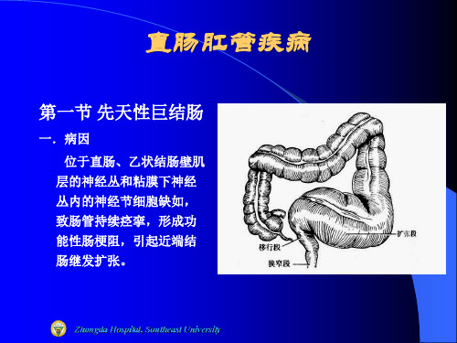 直肠及肛管疾病