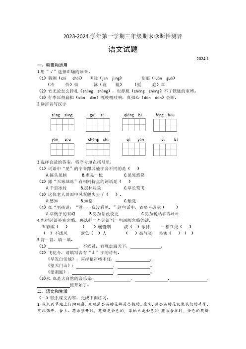 山东省枣庄市薛城区龙潭实验小学2023-2024学年三年级上学期期末语文试题(含答案)