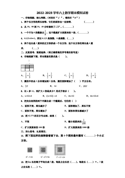 广东省茂名市信宜市2022-2023学年六年级数学第一学期期末综合测试试题含解析