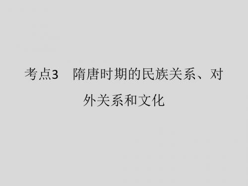 【大纲版】2012高考历史(名师一号)课件3.3隋唐时期的民族关系、对外关系和文化