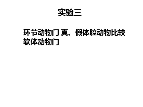 动物学试验：实验三 环节动物门 真、假体腔动物比较 软体动物门