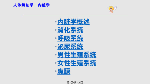 系统解剖学内脏学PPT课件