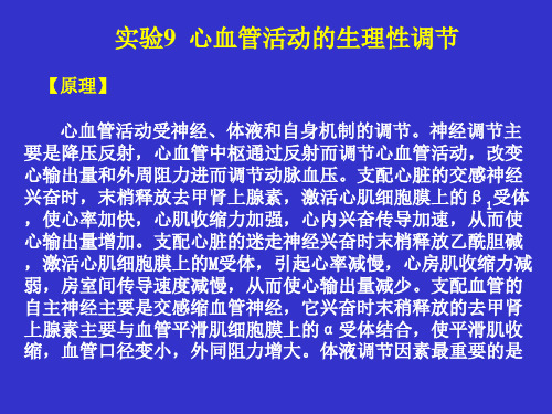 心血管活动的生理性调节