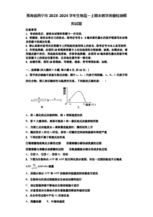 青海省西宁市2023-2024学年生物高一上期末教学质量检测模拟试题含解析