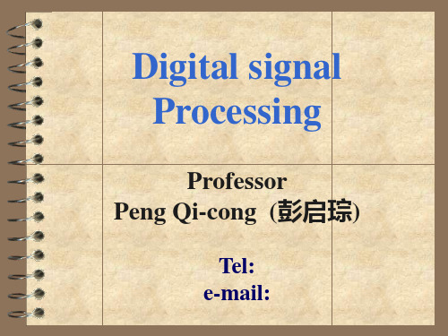 电子科技大学彭启琮-DSP视频配套1PPT课件