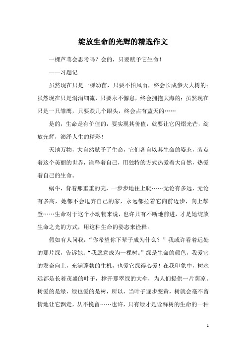 绽放生命的光辉的精选作文