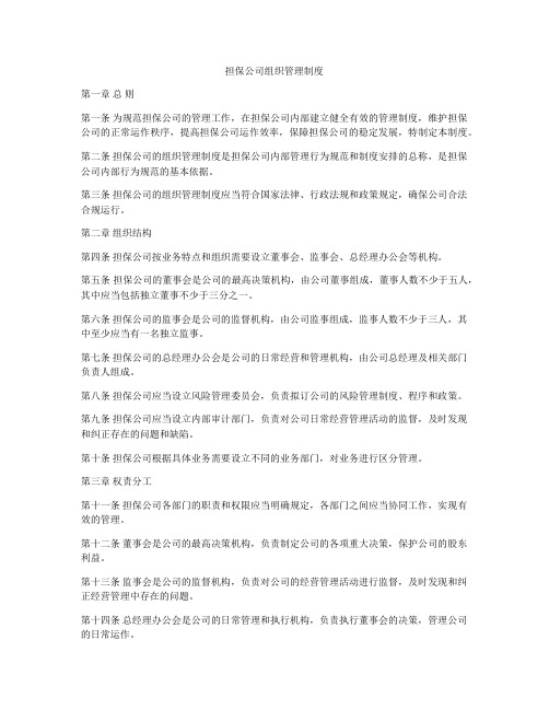 担保公司组织管理制度