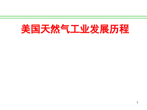 美国天然气工业发展历程资料