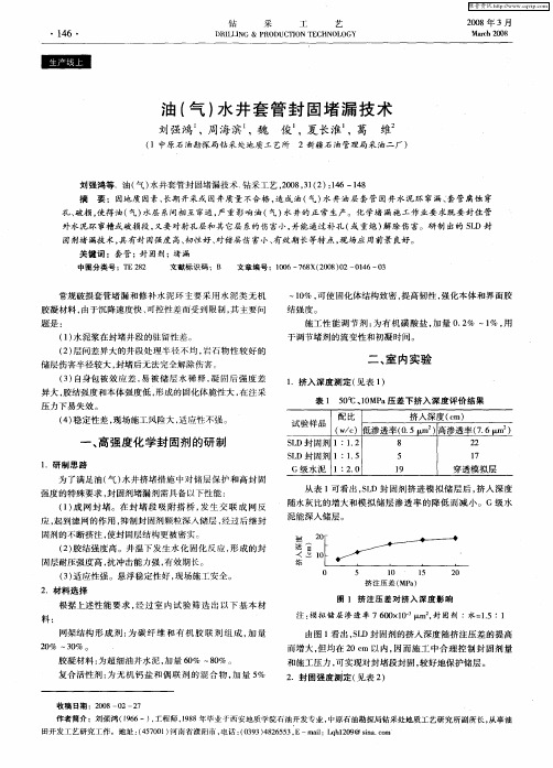 油(气)水井套管封固堵漏技术