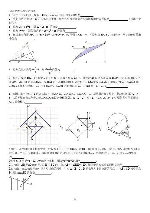 初四数学专题训练卷4.16