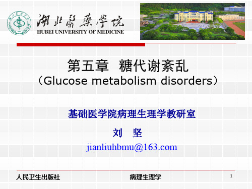 糖代谢紊乱资料