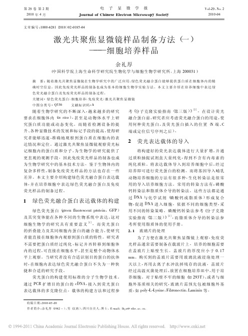 激光共聚焦显微镜样品制备方法_一_细胞培养样品