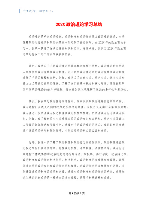 202X政治理论学习总结