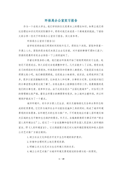 环保局办公室实习报告