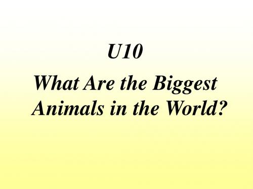 五年级下册英语 U10 What Are the Biggest Animals in the World 课件