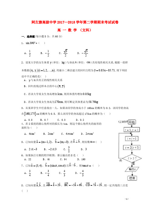 内蒙古阿拉善左旗高级中学高一数学下学期期末考试试题 文