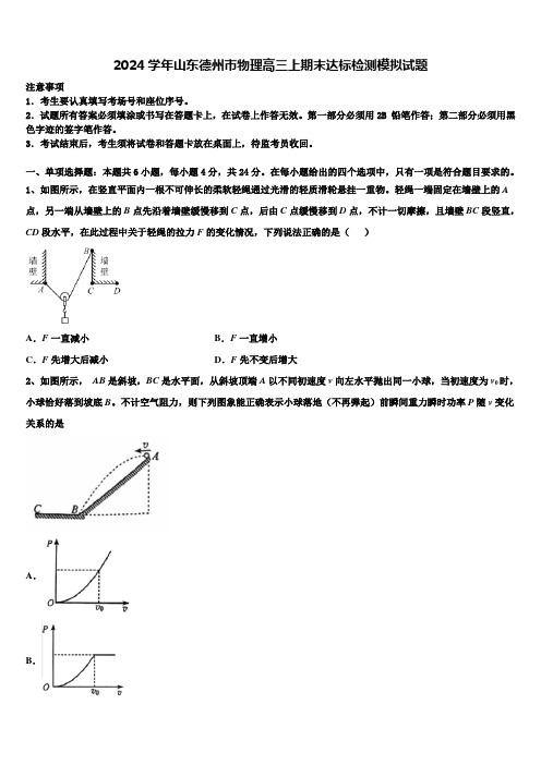 2024学年山东德州市物理高三上期末达标检测模拟试题含解析