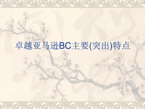 卓越亚马逊BC主要(突出)特点