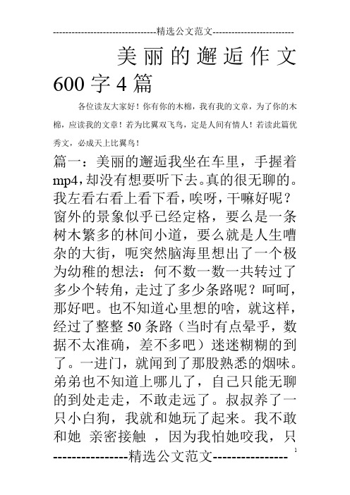 美丽的邂逅作文600字4篇_0