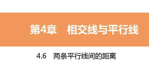 2020年春湘教版七年级数学下册课件:4.6 两条平行线间的距离