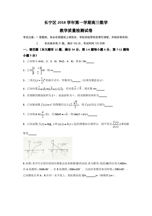 上海市长宁区2019届高三年级第一学期教学质量检测(一模)数学试卷