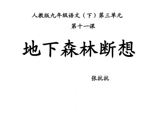 新人教版九年级语文下册11 《地下森林断想》课件