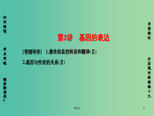 高考生物一轮复习 第6单元 遗传的分子基础 第3讲 基因的表达课件