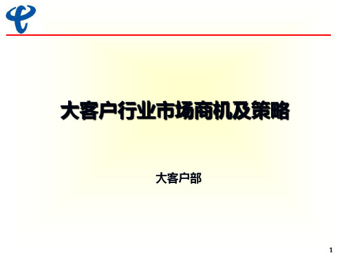 电信大客户年度营销策略-大客户行业市场商机及策略(ppt 51) 精品文档