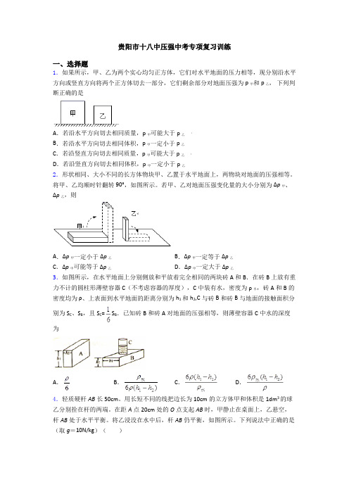 贵阳市十八中压强中考专项复习训练