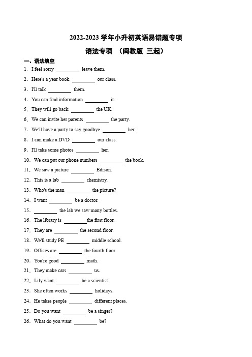 2022-2023学年小升初英语易错题专项-语法专项 (闽教版 三起 )