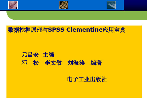 数据挖掘SPSS Clementine12神经网络