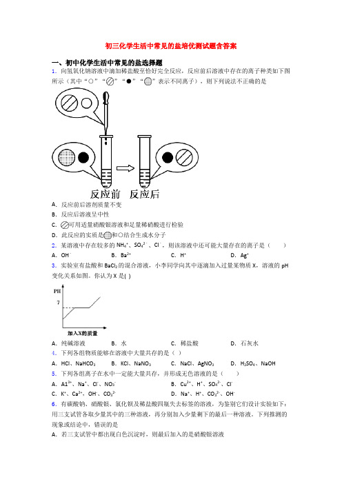 初三化学生活中常见的盐培优测试题含答案