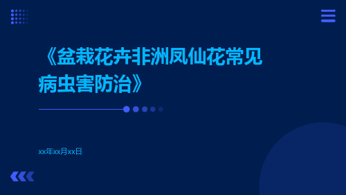 盆栽花卉非洲凤仙花常见病虫害防治