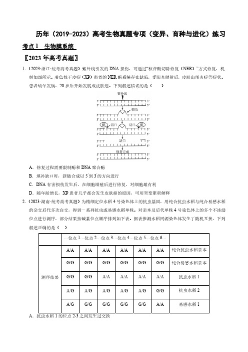 历年(2019-2023)高考生物真题专项(变异、育种与进化)练习(附答案)