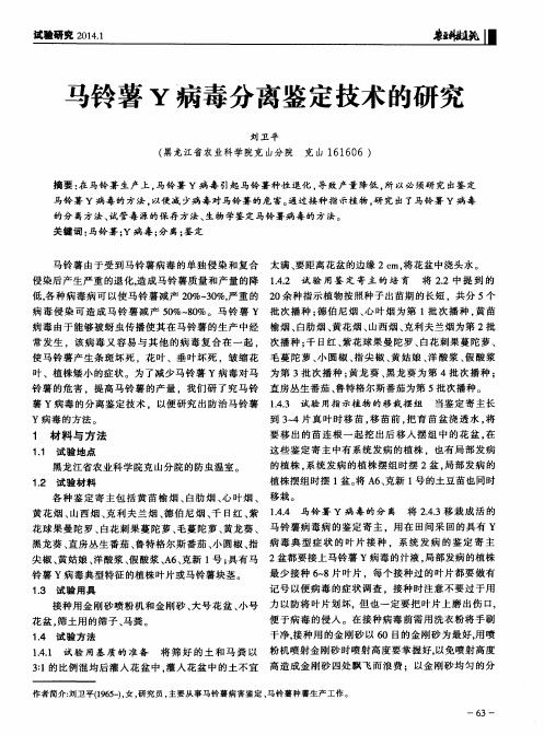 马铃薯Y病毒分离鉴定技术的研究