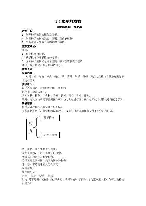 常见的植物(教案)