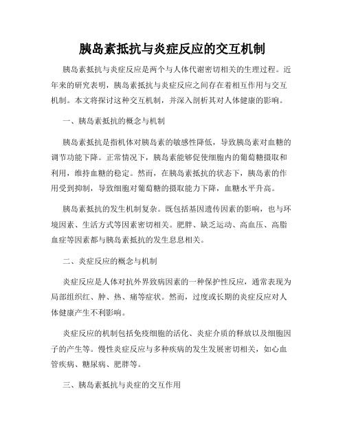 胰岛素抵抗与炎症反应的交互机制