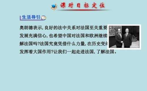 专题二 法国的民主共和制与半总统半议会制 教学探究课件(新人教选修3)