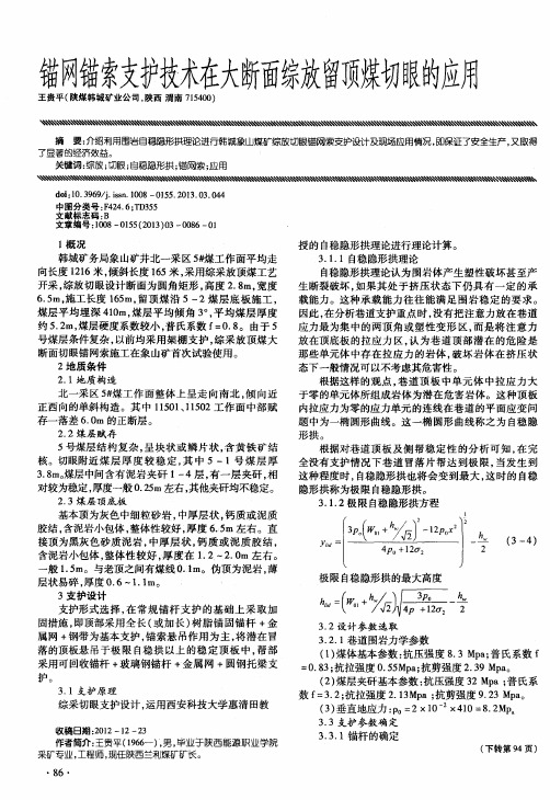 锚网锚索支护技术在大断面综放留顶煤切眼的应用