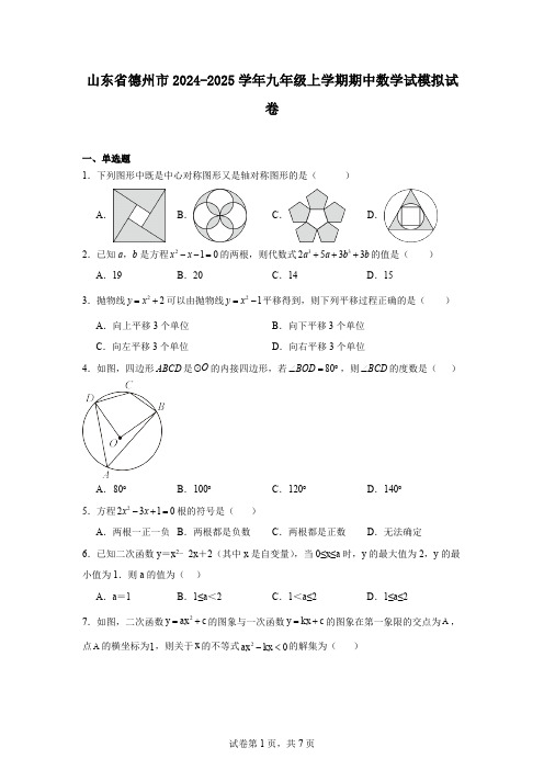 山东省德州市2024-2025学年九年级上学期期中数学试模拟试卷