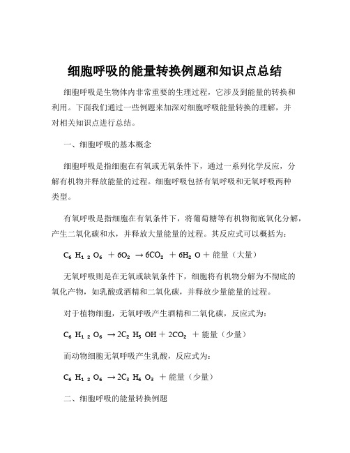 细胞呼吸的能量转换例题和知识点总结