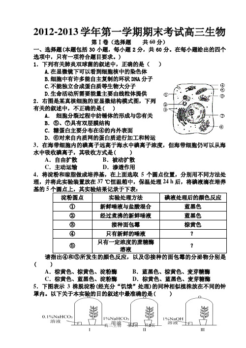 2012-2013学年第一学期期末考试高三生物