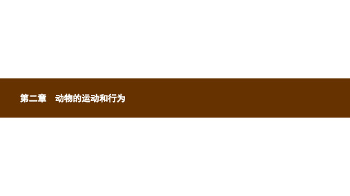 八年级生物上册5.2.1动物的运动课件新版新人教版ppt课件