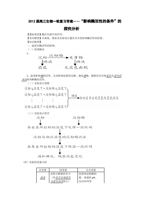 自编一轮复习：影响酶活性的条件